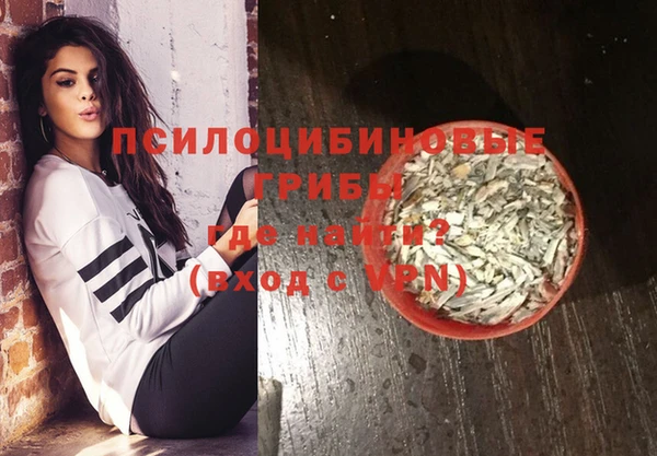 стаф Алексеевка
